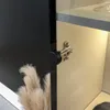 Hängevitrine Vitrine Vitrinenschrank FIVO 03 schwarz  Produktbild-Vorschau 4