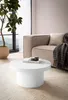 A modern living room scene with a couch, coffee table, and plant. Náhľad obrázku produktu