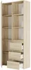 Regál kancelářský 80 cm 1 dveře 3 zásuvky FRAMIRE B-80-S3 Náhled obrázku produktu 5