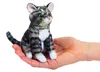 Folkmanis 2791 Fingerpuppe Kätzchen Produktbild-Vorschau 3