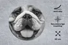 MuchoWow® Mauspad Mousepad Tierprofil Bulldogge in schwarz Produktbild-Vorschau 2