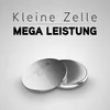 Knopfzellen-Sortiment "Alkaline & Lithium" Produktbild-Vorschau 4