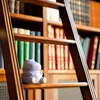 Legami Stress Less Anti-Stress Hippo, Stressball, Anteprima dell’immagine prodotto 5