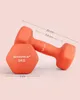 SONGMICS Hanteln, 2er Set, 2 x 3 kg, Hantelset, Produktbild-Vorschau 6