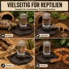 2-in-1 Reptilien-Wasser- und Futternapf mit Wasserflasche, Produktbild-Vorschau 7