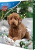 Trixie Adventskalender Weihnachtskalender für Hunde Produktbild-Vorschau 6