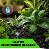 KADAX Kieselgur 20kg für Garten, Diatomeenerde als feines Produktbild-Vorschau 5