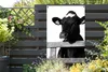 MuchoWow® Produktbild-Vorschau 5
