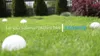 Solar Gartenleuchte Eko-Light Hemi RGB IP44 dekoratives Set Produktbild-Vorschau 3