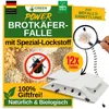 A collage of images promoting a product for catching bread beetles. It includes a product box, close-ups of the product, and graphics illustrating its use. Produktbild-Vorschau