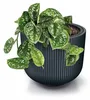 Prosperplast s.r.o. Vaso da fiori con inserto MILLY Anteprima dell’immagine prodotto 4