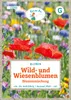 Grüne Fee - Wild- und Wiesenblumen Blumenmischung ohne Produktbild-Vorschau 1
