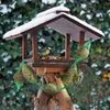 PANTO Futterkette 20 x 485g - Wildvogelfutter mit Nüssen Produktbild-Vorschau 3