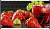 Wallario Zaunsichtschutz mit Motiv Erdbeer-Mojito - Frische Produktbild-Vorschau 1