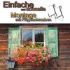 BigDean Blumenkastenhalterung 2 Stück Anthrazit für Balkon Produktbild-Vorschau 3