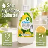 SODASAN 778191, Hände, Flüssigseife, Reinigend, Zitrus, 500 Produktbild-Vorschau 2