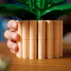 LEGO Botanicals Friedenslilie - Kunstblumen Set mit Produktbild-Vorschau 5