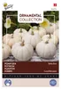 Semi di zucca ornamentale Buzzy Baby Boo - Circa 1 gr | Anteprima dell’immagine prodotto 5