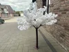 Dekobaum, Kirschblüte, Sakura, Deko, Tischdeko NEU160 cm Produktbild-Vorschau 2