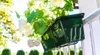 KADAX Support de pot de fleurs, suspendu, pour balustrade, Voir les images du produit 5