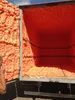 POLYNOR PRO Isolier-Sprühschaum, 14 Stück Produktbild-Vorschau 9