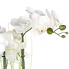 Fleur artificielle, trois orchidées avec des fleurs Voir les images du produit 2