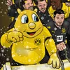 Borussia Dortmund BVB Weihnachtskalender Adventskalender Produktbild-Vorschau 8