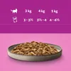 Whiskas Pure Delight Mokra Karma Dla Kotów Drobiowe Frykasy Podgląd zdjęcia produktu 5