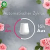 AIRWICK Duftöl Beruhigende Rose fruchtig Náhled obrázku produktu 4