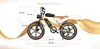 Elektrofahrrad, 48 V, 14 Ah und 20 Ah, Doppelbatterie, 20 x Produktbild-Vorschau 9