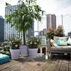 Blumentopf Untersetzer Elho Loft Urban Kunststoff Ø 27,6 cm Produktbild-Vorschau 6