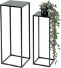 Two black metal plant stands of different heights are shown against a white background. A potted plant with trailing green leaves is placed on the taller stand. Produktbild-Vorschau