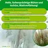 Purgrün Pampasgras-Dünger 1 Liter Produktbild-Vorschau 3