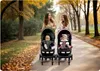 Kinderwagen Paseo, kompakt faltbar (Handgepäckgröße), 0-36 Produktbild-Vorschau 14