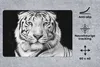 MuchoWow® Schreibtischunterlage Tiger - Schwarz - Weiß - Produktbild-Vorschau 2