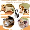 A collage of images showing dogs in different situations where a rehabilitation harness would be useful, along with an image of the harness itself. Produktbild-Vorschau