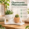 Blumentopf für Sukkulenten, lustiger Pflanztopf mit Produktbild-Vorschau 2