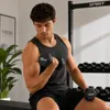 Spirit Fitness Studio Neopren Trainingshantel (Paar) Produktbild-Vorschau 2