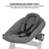 Hauck Beta Plus Dark Grey 5-tlg. Newborn Set Produktbild-Vorschau 6