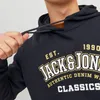 Jack & Jones Hoodie Logo Kapuzensweatshirt Produktbild-Vorschau 11