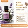 Lavendelöl, ätherisches Öl, 100% Rein, BIO, natürlich, 10 Produktbild-Vorschau 2