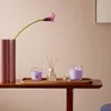 Bougies Bolsius Tealight True Scents, chauffe-plat, Voir les images du produit 7