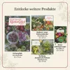 Küchenglück Kalender 2027, 5 x 70 cm, 12 kreative Produktbild-Vorschau 5