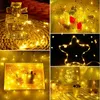 LED-Lichterkette, 20 Stück, 1 m, Kupferdraht, 10 LEDs, warmweiß Productafbeelding-voorbeeld