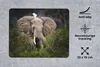 MuchoWow® Mauspad Mousepad Elefant - Reiher - Pflanze 23x19 Produktbild-Vorschau 3