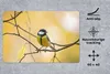 MuchoWow® Schreibtischunterlage Kohlmeise - Zweig - Vogel - Produktbild-Vorschau 2