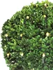 Oświetlenie LED Merkloos ze sterowaniem za pomocą aplikacji Podgląd zdjęcia produktu 12