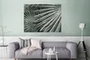 MuchoWow® Poster Blätter - Grün - Palme 120x90 cm - Produktbild-Vorschau 5