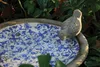 Esschert Design Aged Ceramic Vogeltränke; AC10 Produktbild-Vorschau 3