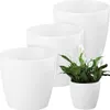 Three white planters of varying sizes are arranged on a white background. One planter contains a peace lily plant. Podgląd zdjęcia produktu